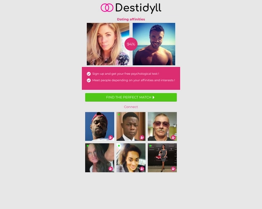 Destidyll Logo